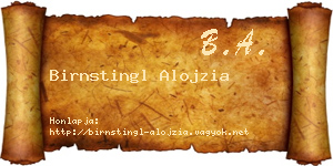 Birnstingl Alojzia névjegykártya